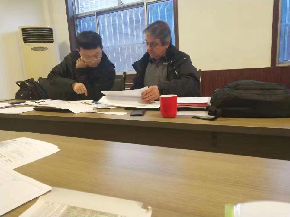 Rollo de chip de batería Battery Chip Roll